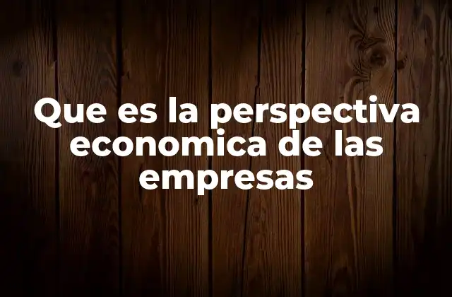 Que es la Perspectiva Economica de las Empresas