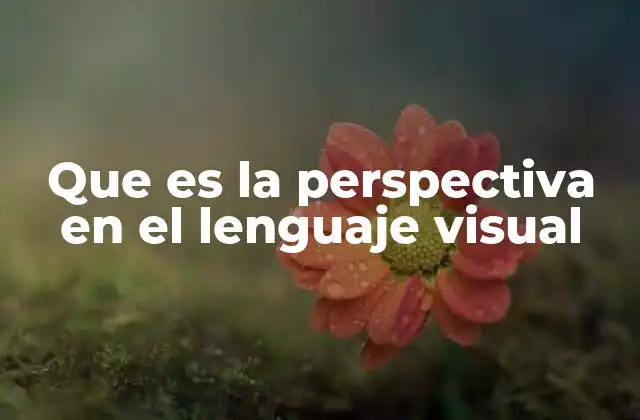 Que es la Perspectiva en el Lenguaje Visual