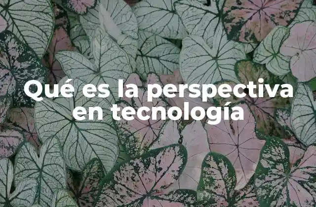 Qué es la Perspectiva en Tecnología