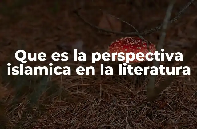 Que es la Perspectiva Islamica en la Literatura