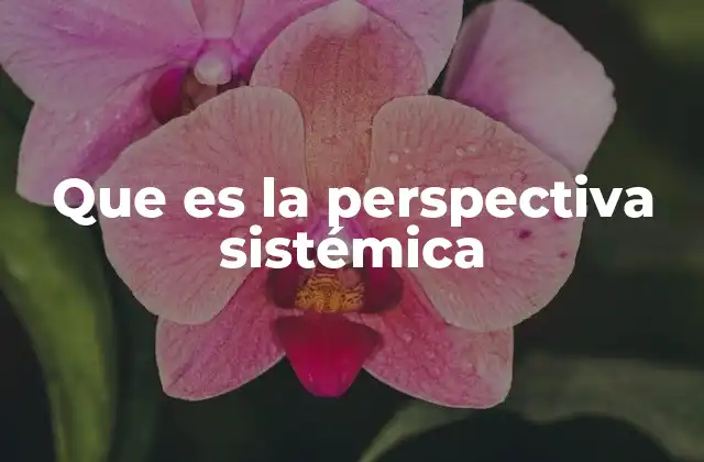 Que es la Perspectiva Sistémica