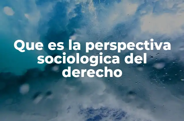 Que es la Perspectiva Sociologica Del Derecho