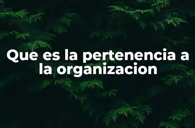 Que es la Pertenencia a la Organizacion