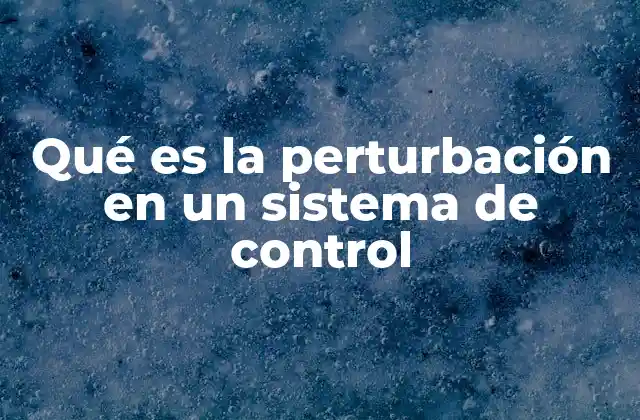 Qué es la Perturbación en un Sistema de Control