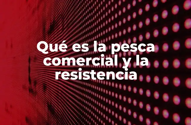 Qué es la Pesca Comercial y la Resistencia 2 La interacción entre actividades marinas y ecosistemas