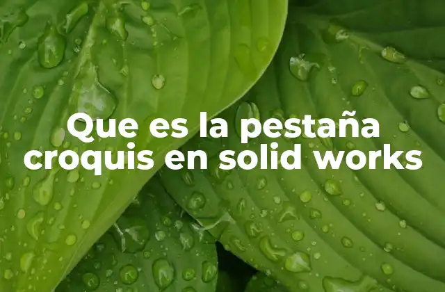 Que es la Pestaña Croquis en Solid Works