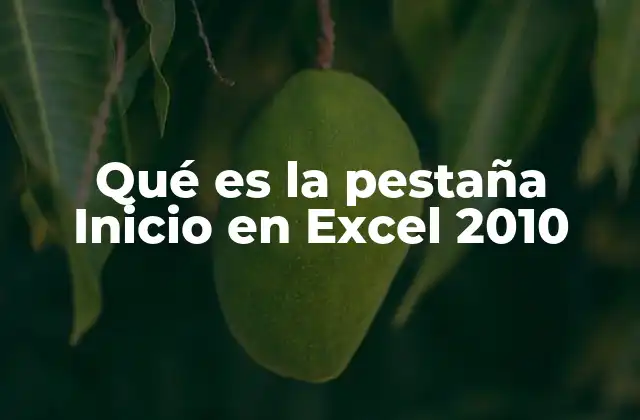 Qué es la Pestaña Inicio en Excel 2010
