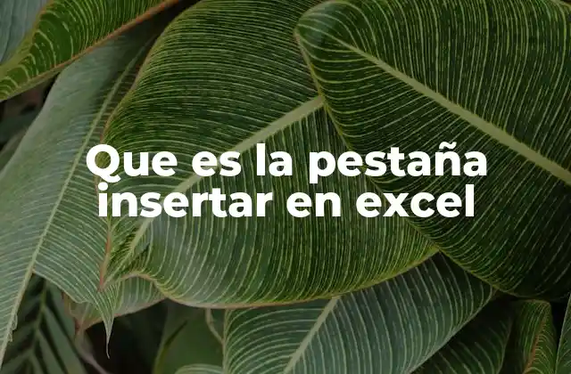 Que es la Pestaña Insertar en Excel