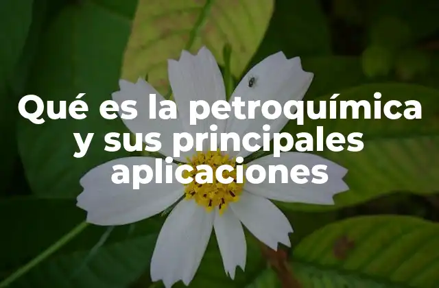 Qué es la Petroquímica y Sus Principales Aplicaciones