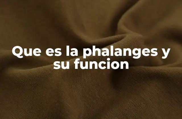 Que es la Phalanges y Su Funcion