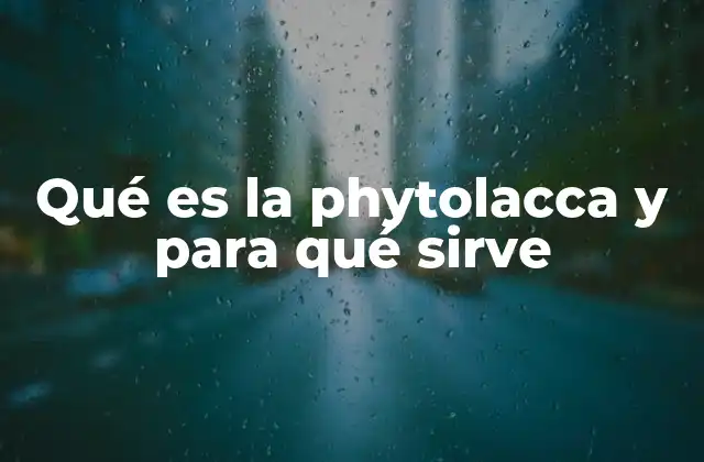 Qué es la Phytolacca y para Qué Sirve