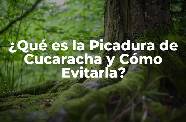 ¿qué es la Picadura de Cucaracha y Cómo Evitarla?