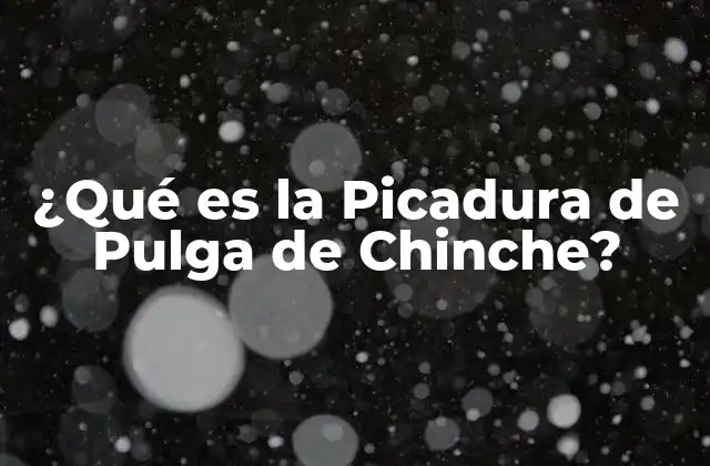 ¿qué es la Picadura de Pulga de Chinche?