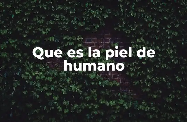 Que es la Piel de Humano
