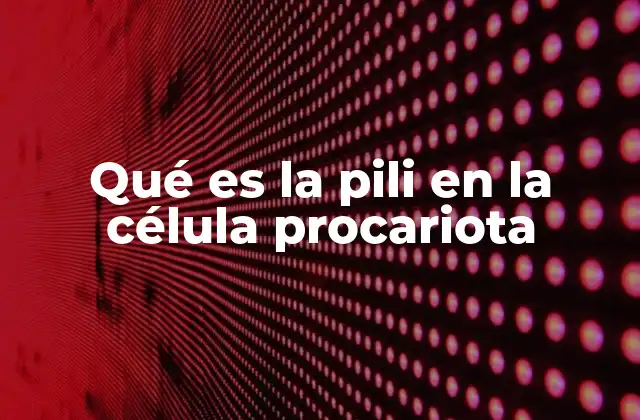 Qué es la Pili en la Célula Procariota