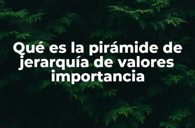 Qué es la Pirámide de Jerarquía de Valores Importancia