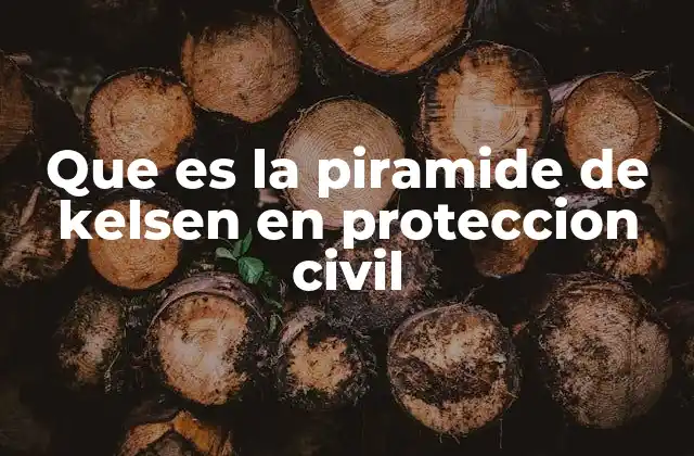 Que es la Piramide de Kelsen en Proteccion Civil