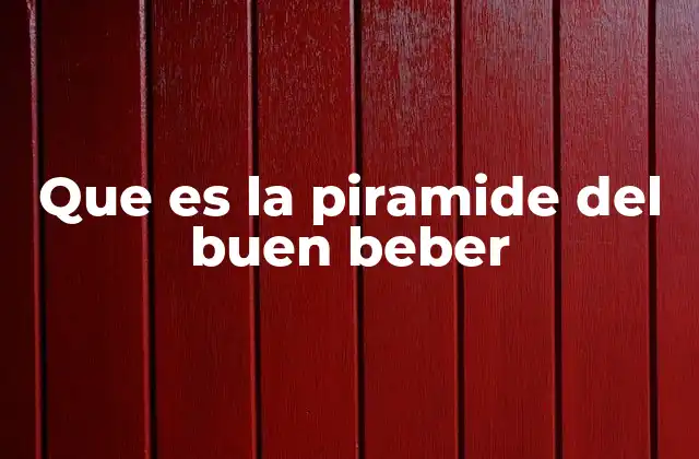 Que es la Piramide Del Buen Beber