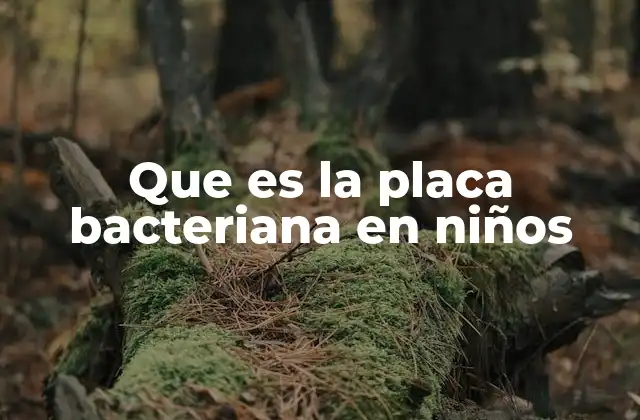 Que es la Placa Bacteriana en Niños