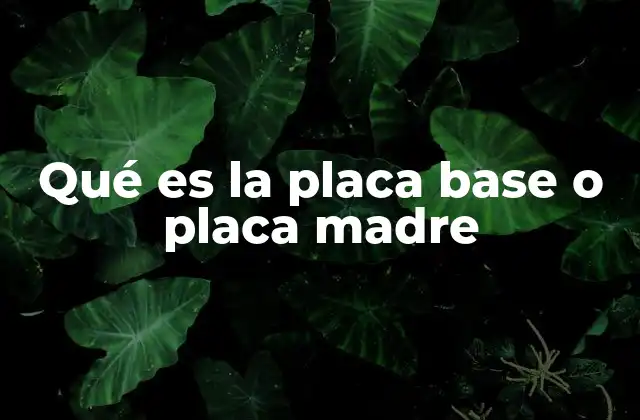 Qué es la Placa Base o Placa Madre