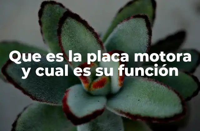 Que es la Placa Motora y Cual es Su Función