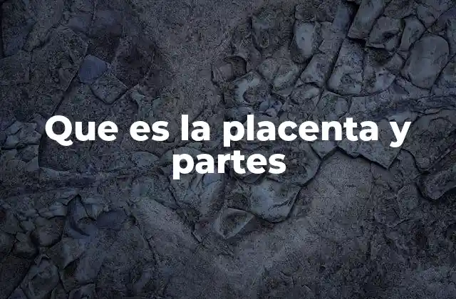 Que es la Placenta y Partes