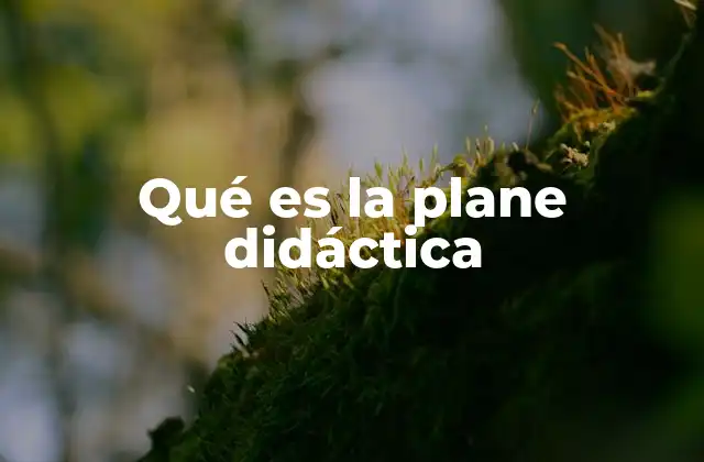 Qué es la Plane Didáctica