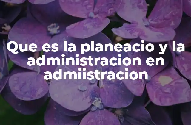 Que es la Planeacio y la Administracion en Admiistracion