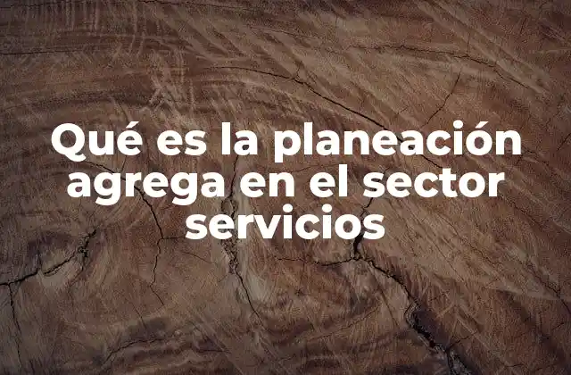 Qué es la Planeación Agrega en el Sector Servicios