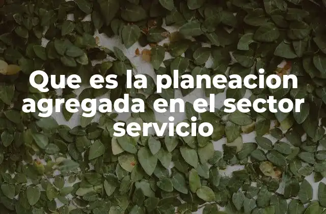 Que es la Planeacion Agregada en el Sector Servicio