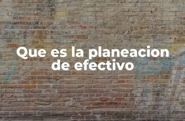 Que es la Planeacion de Efectivo