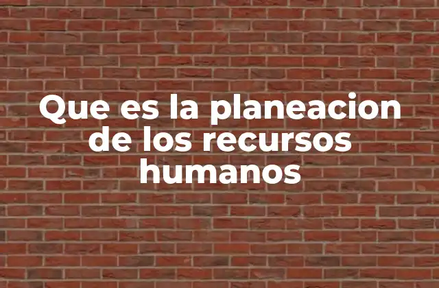 Que es la Planeacion de los Recursos Humanos