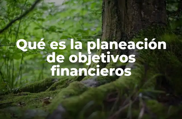 La importancia de tener metas financieras claras