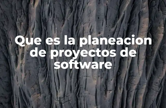 Que es la Planeacion de Proyectos de Software