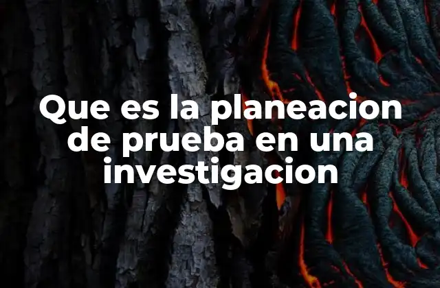 Que es la Planeacion de Prueba en una Investigacion