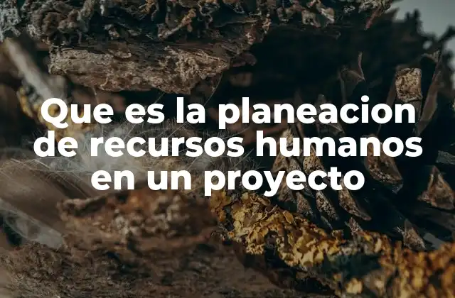 Que es la Planeacion de Recursos Humanos en un Proyecto