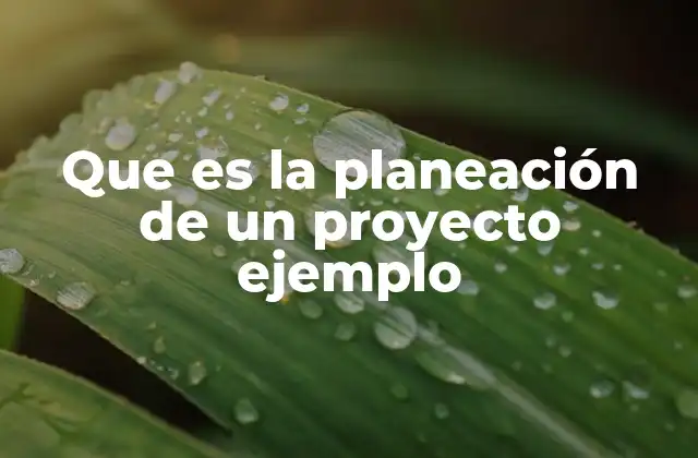 Que es la Planeación de un Proyecto Ejemplo