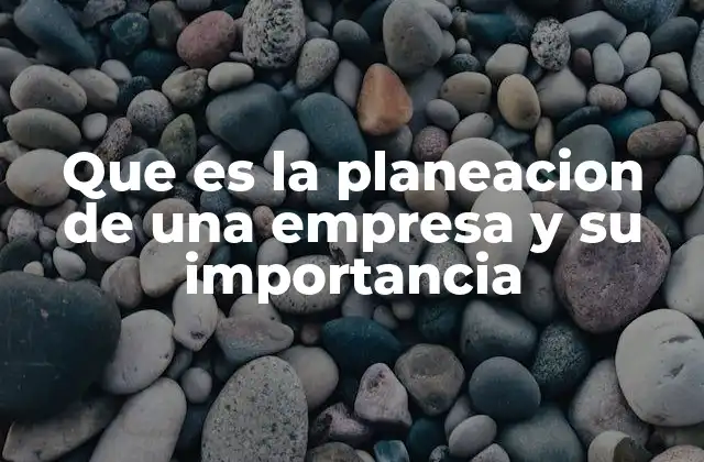 Que es la Planeacion de una Empresa y Su Importancia
