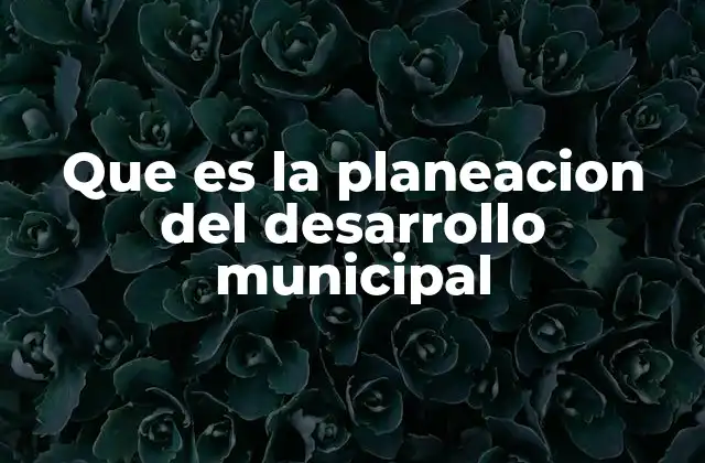 Que es la Planeacion Del Desarrollo Municipal