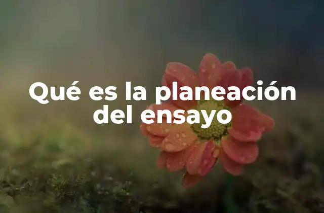Qué es la Planeación Del Ensayo
