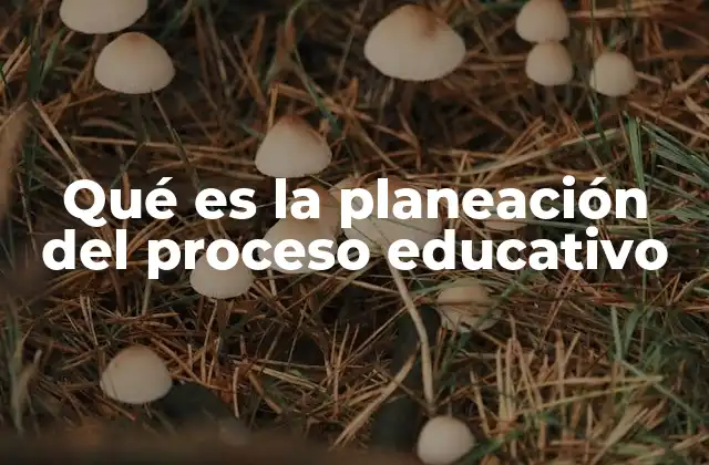 Qué es la Planeación Del Proceso Educativo