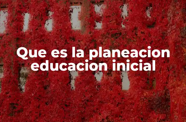Que es la Planeacion Educacion Inicial