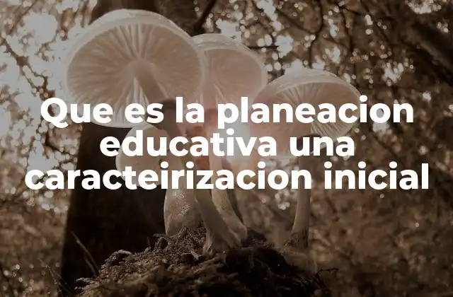 La importancia de una visión estratégica en el proceso educativo