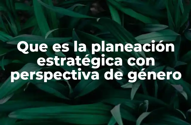 Que es la Planeación Estratégica con Perspectiva de Género