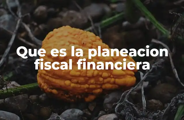 Que es la Planeacion Fiscal Financiera