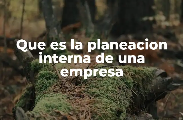 La importancia de estructurar procesos internos para el crecimiento empresarial