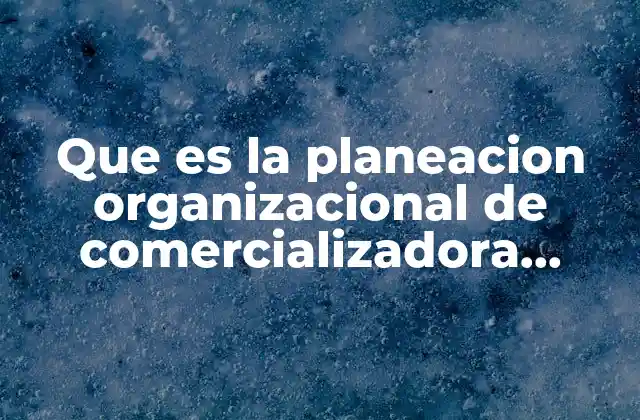 Que es la Planeacion Organizacional de Comercializadora Marlet