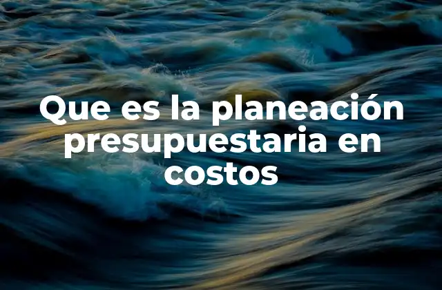 Que es la Planeación Presupuestaria en Costos