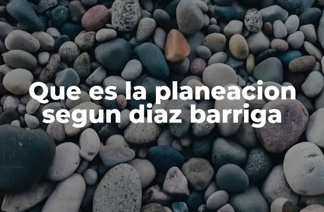 Que es la Planeacion Segun Diaz Barriga