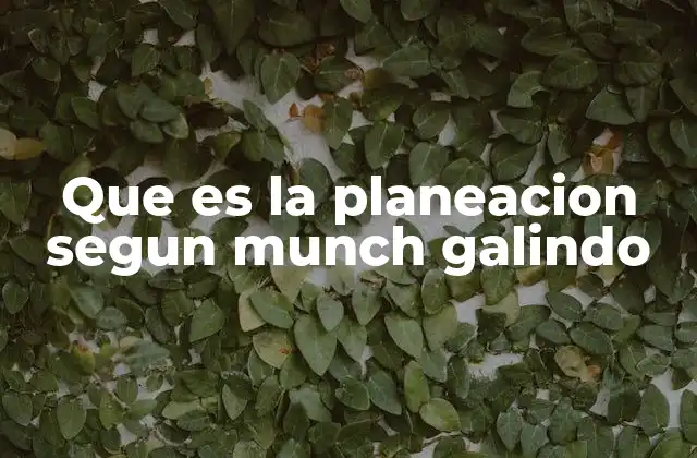 Que es la Planeacion Segun Munch Galindo